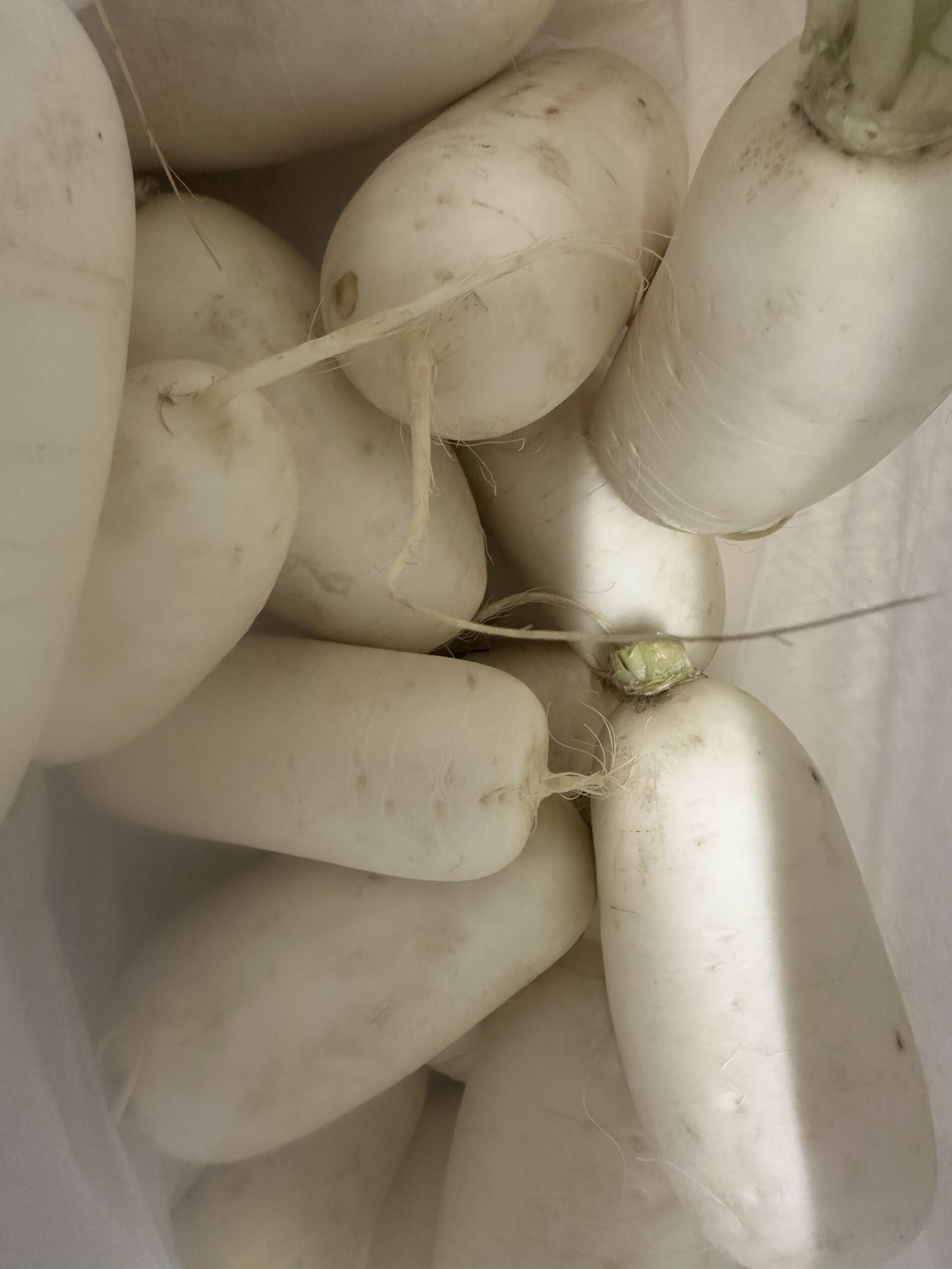 white radish ( Mulli)  500 g